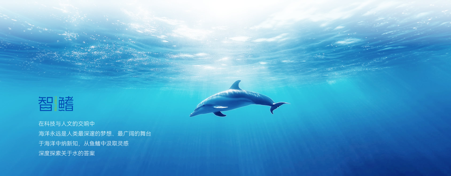 技術(shù)平臺(tái)